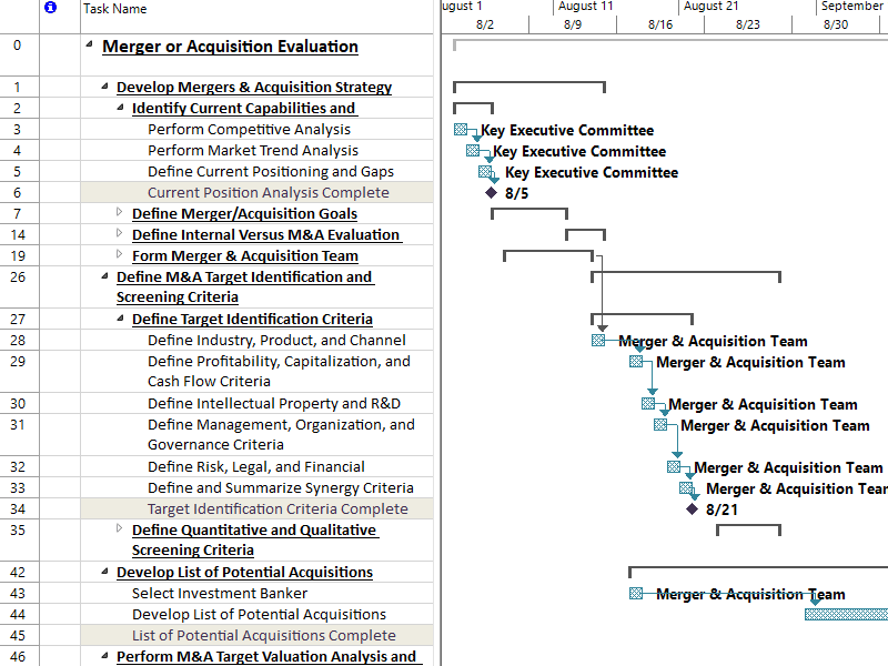 Online Templates - Project Plan 365