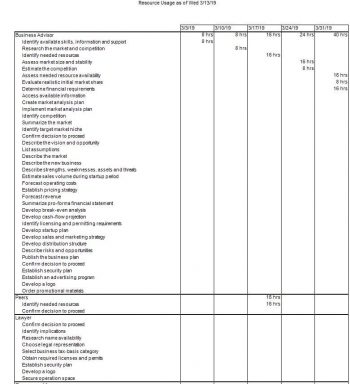 Resource Usage Report - Project Plan 365