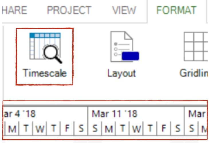 Timescale Project Plan 365