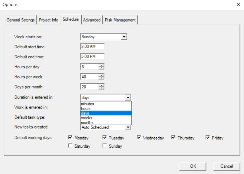 Set the scheduling units for duration Project Plan 365