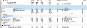 Insert multiple tasks - Project Plan 365