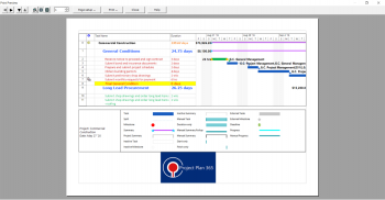 Lesson 7: Print Schedule - Project Plan 365