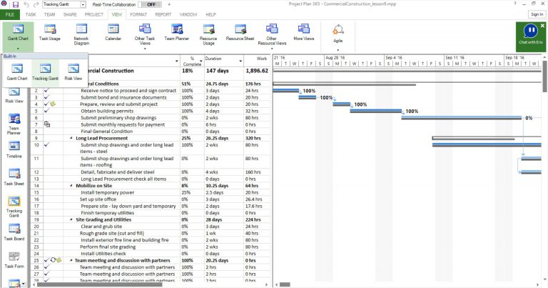 Lesson 10: All Views – Project Plan 365