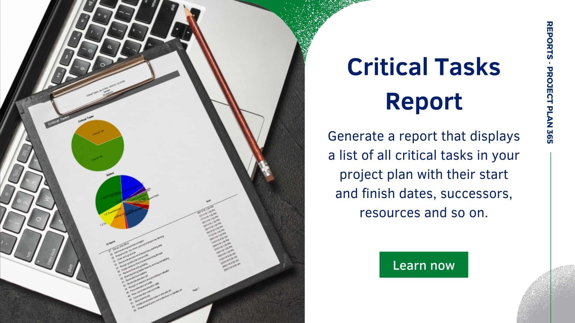 Critical Tasks Report Project Plan 365