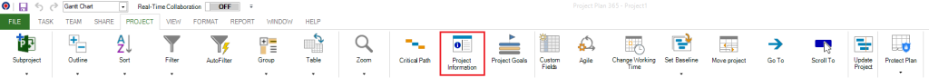 VIEW PROJECT INFORMATION WITHOUT PROJECT visual data 2