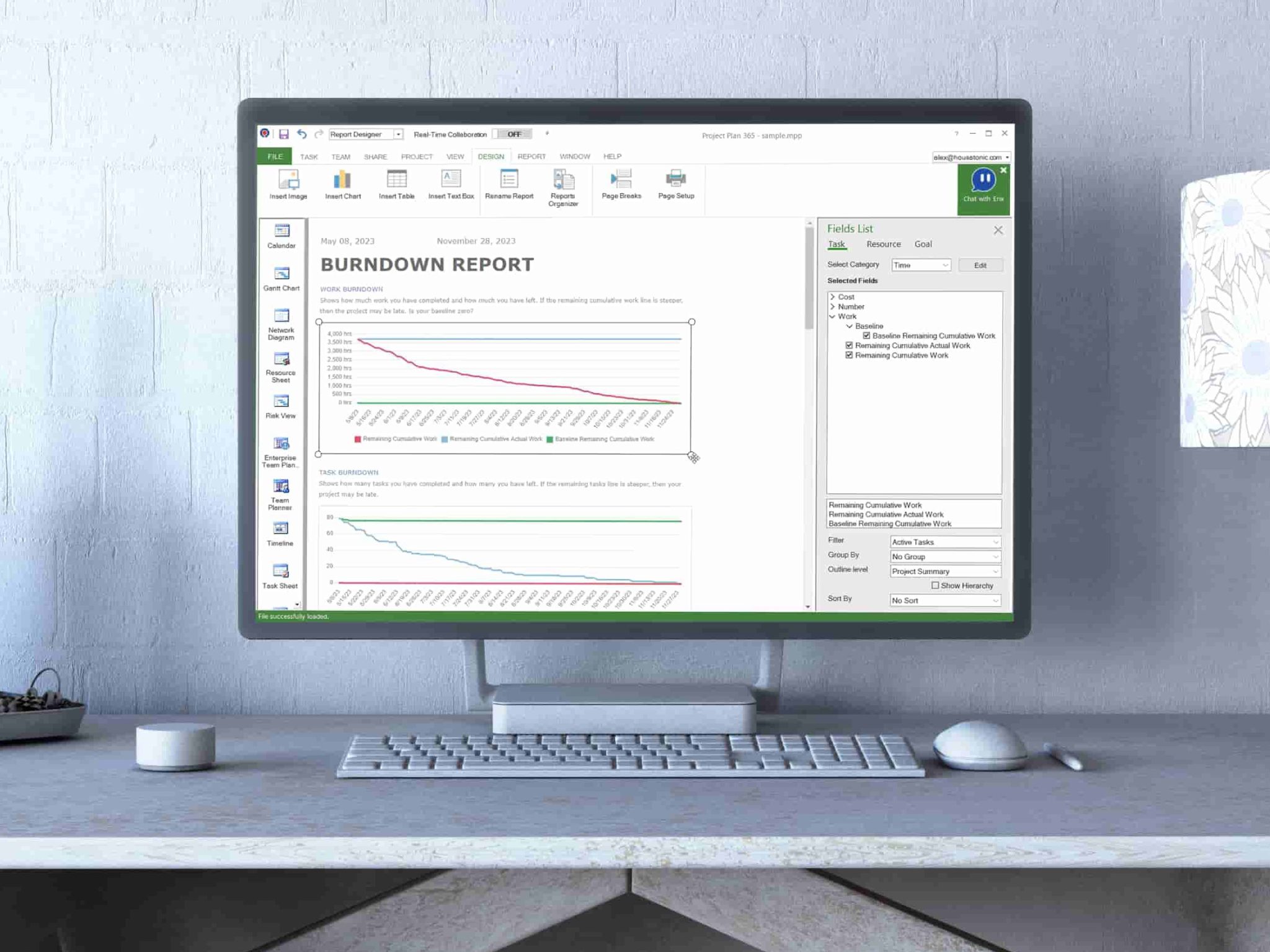 Visual Reports - Project Plan 365