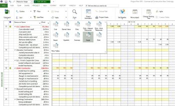 Resource Usage - Project Plan 365