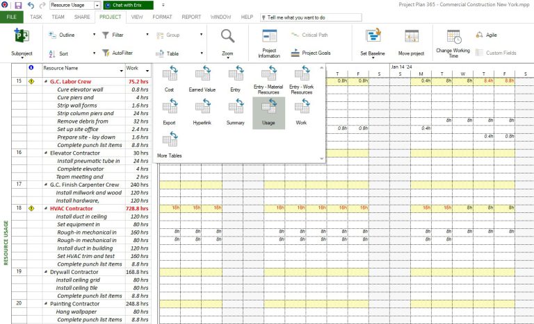 Resource Usage - Project Plan 365