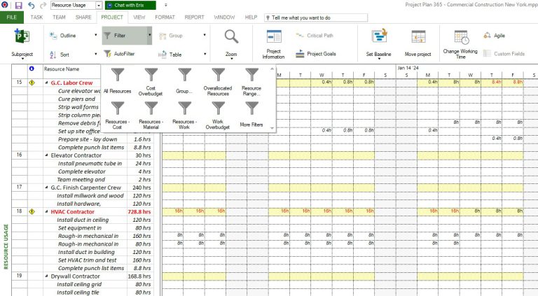 Resource Usage - Project Plan 365